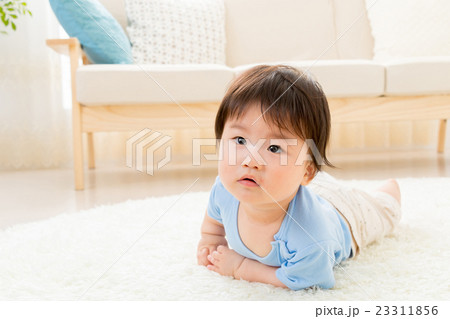 赤ちゃん　ベイビー　ベビー　乳幼児　白背景　コピースペース　男の子 23311856