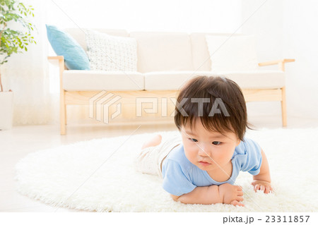 赤ちゃん ベイビー ベビー 乳幼児 白背景 コピースペース 男の子 赤ちゃん ベイビー ベビー 乳幼児 白背景 コピースペース 男の子 23311857