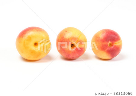 Sweet Apricot Fruit 23313066