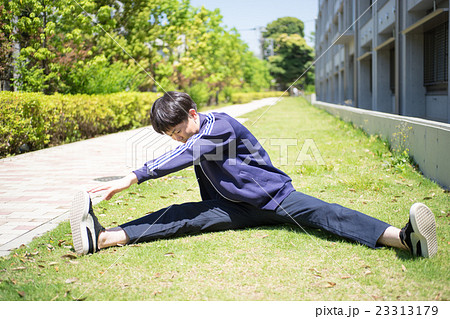芝生の上でストレッチをする男性 23313179