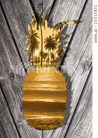 Summer beach concept design with pineapple shape Summer beach concept design with pineapple shape 23315831