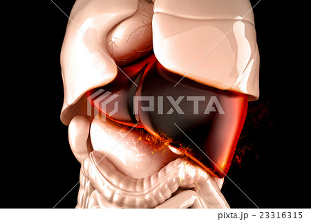 Burning human liver closeup. Liver disease concept 23316315