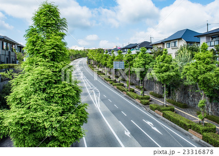 住宅街 道路の写真素材