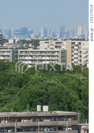 遠くに高層ビルを望む 23317014