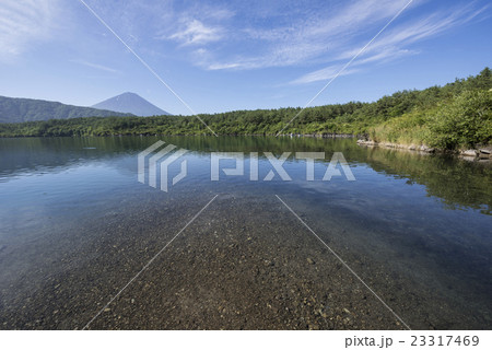 夏の西湖岸線 23317469