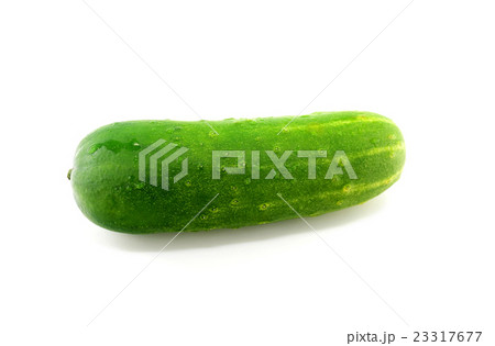 夏野菜　加賀太キュウリ 23317677
