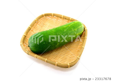 夏野菜　加賀太キュウリ 23317678