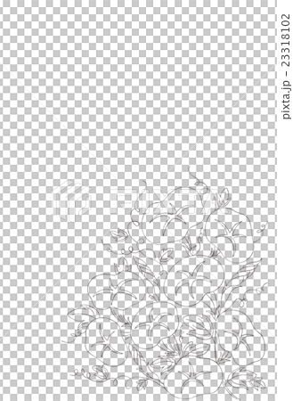 朝顔の線画。モノクロ。ベクター 23318102