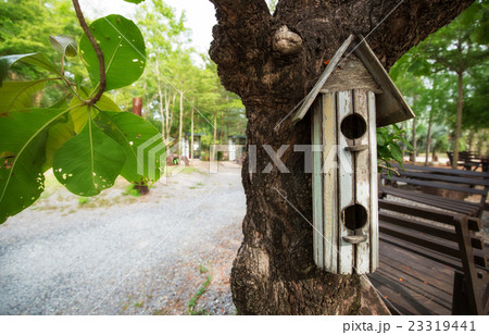 Old White twin bird house 23319441