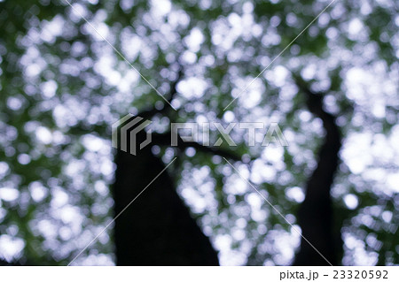 森や公園のボケ素材 3:2 森や公園のボケ素材 3:2 23320592