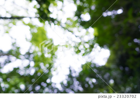 公園のボケ素材  3:2 23320702