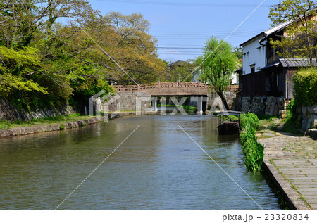 近江八幡　八幡掘（2016.4） 23320834