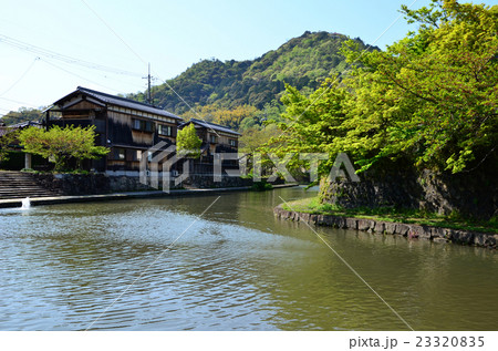 近江八幡　八幡掘（2016.4） 23320835
