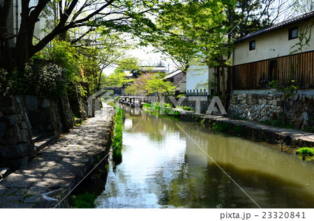 近江八幡　八幡掘（2016.4） 23320841