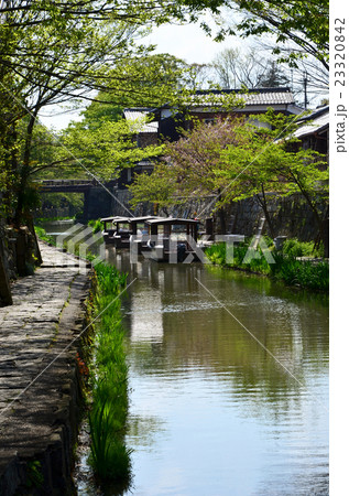 近江八幡　八幡掘（2016.4） 23320842