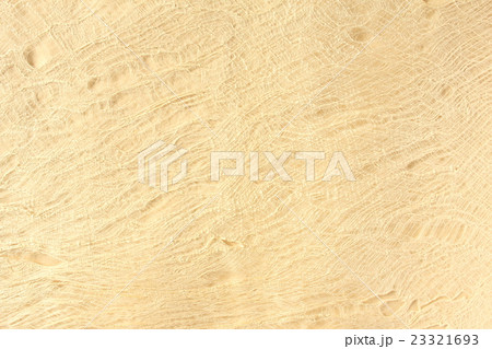 楮紙 楮紙 23321693