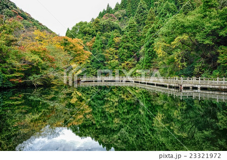 初秋の池. 23321972