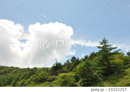 飛行機雲にかかる彩雲 23322257