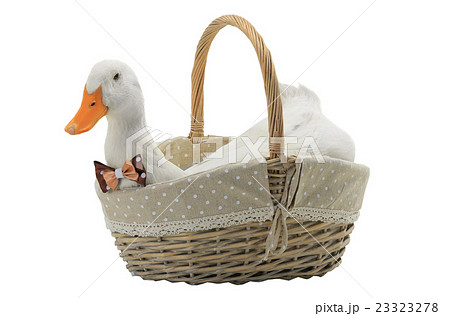 duck duck 23323278
