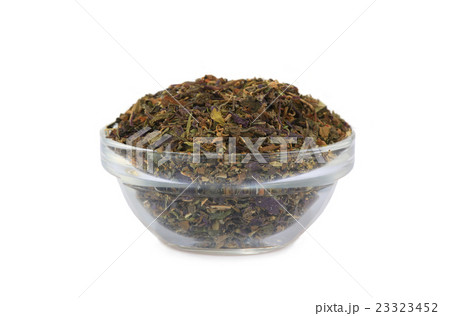 basil basil 23323452