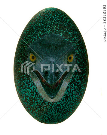 egg emu egg emu 23323593