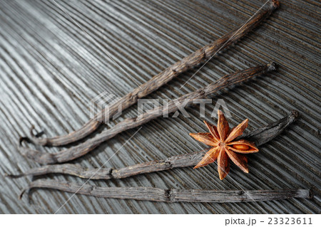 vanilla, anisetree 23323611