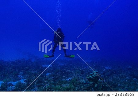 One diver underwater One diver underwater 23323958