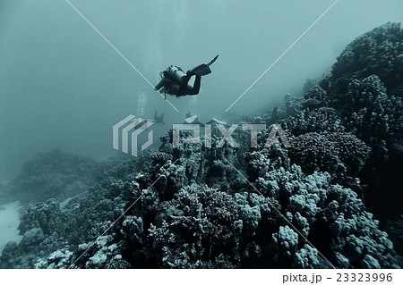 divers in fresh water 23323996