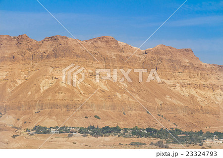 Oasis with the Mountains in Israel Oasis with the Mountains in Israel 23324793