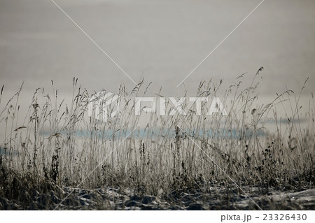 cold day frost grass landscape 23326430