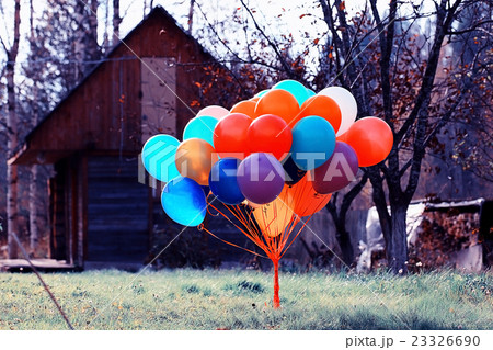 many colorful balloons nature landscape 23326690