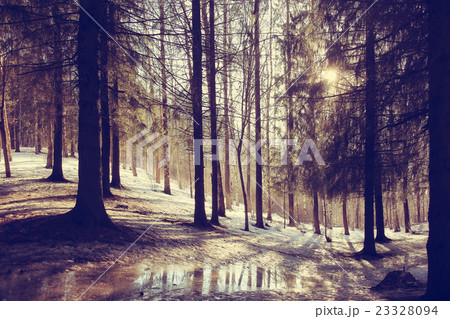 landscape forest eco March landscape forest eco March 23328094