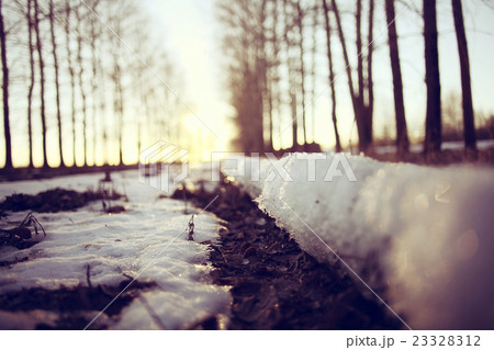 landscape forest eco March landscape forest eco March 23328312