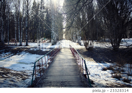 early spring landscape of the snow in the forest 23328314