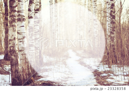 Spring forest background blur circle for text Spring forest background blur circle for text 23328358