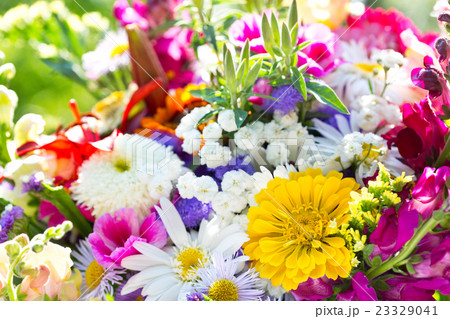bouquet of summer flowers bouquet of summer flowers 23329041