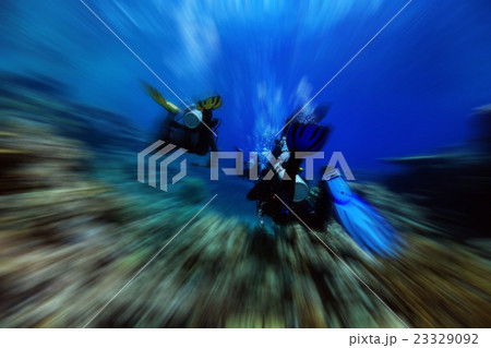 divers underwater the sea 23329092