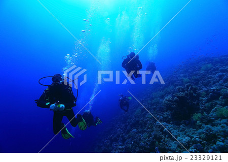 divers in fresh water divers in fresh water 23329121