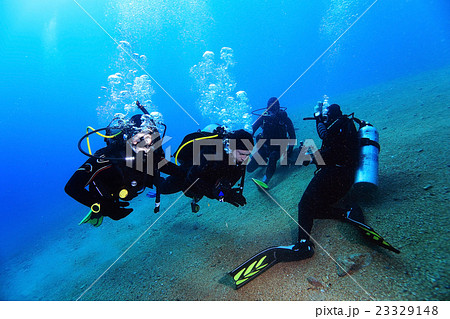 group of divers passing exams open water 23329148