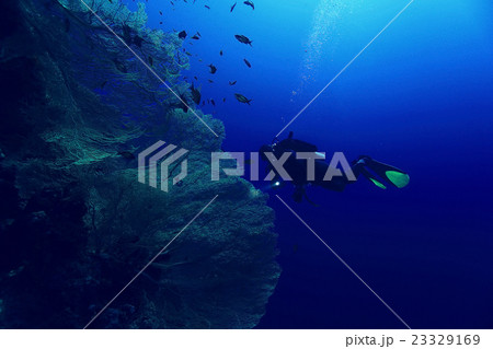 unusual photo diver underwater background unusual photo diver underwater background 23329169