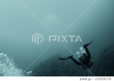divers in fresh water divers in fresh water 23329170