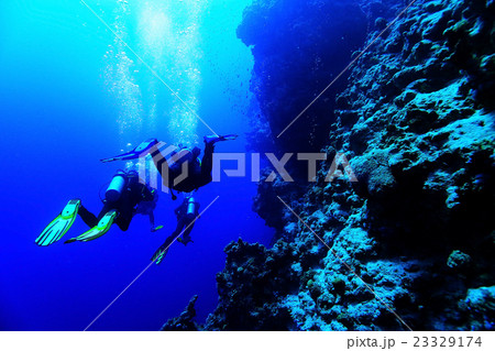 freediving scuba photo 23329174