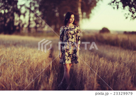 girl sunset in the rustic landscape of wheat girl sunset in the rustic landscape of wheat 23329979