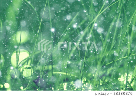 Green background bokeh blurred glare rain 23330876