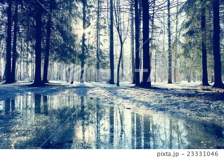 cool blue spring landscape trees nature background eco 23331046