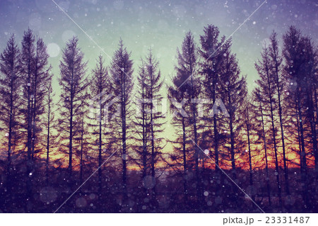 night snowfall trees background night snowfall trees background 23331487