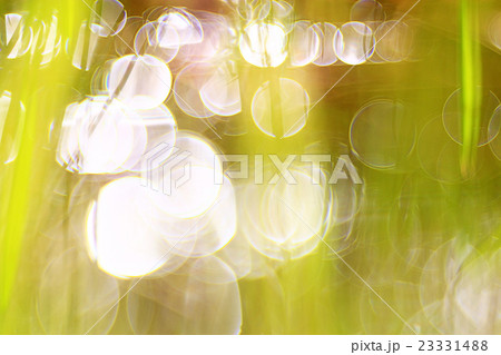 bokeh blurred background green grass leaves bokeh blurred background green grass leaves 23331488