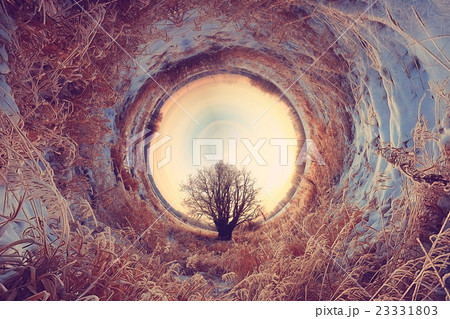 panorama planet landscape winter trees panorama planet landscape winter trees 23331803