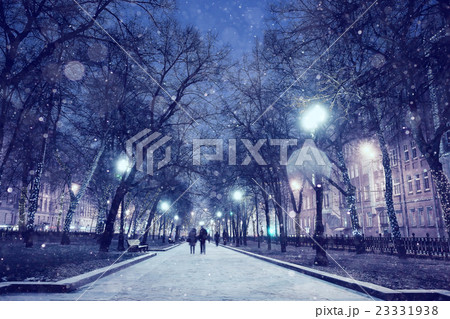 Night winter landscape in the alley of city park Night winter landscape in the alley of city park 23331938