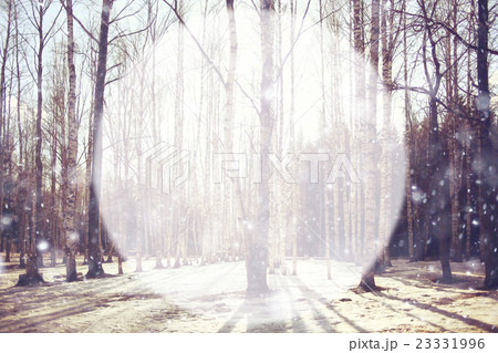blurred background Snow frame for text Circle trees 23331996